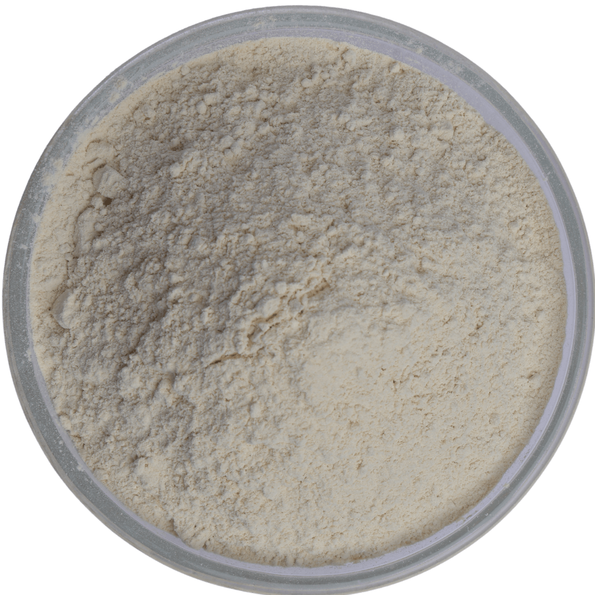 Premium White Onion Powder